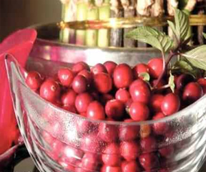 مصر اليوم - التوت البري يضاعف القدرة الجنسية