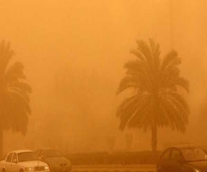   مصر اليوم - هدوء في كفر الشيخ في جمعة الكرامة لسبب سوء الأحوال الجوية