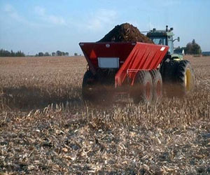 مصر اليوم - وزارة البيئة تدعم محافظة شمال سيناء بـ 2000 شتلة حولية