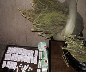   مصر اليوم - ضبط مروج مخدرات و47 هاربًا من أحكام في شمال سيناء