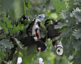   مصر اليوم - الروبوت الثعبان للتنقيب تحت الأنقاض والتجسس