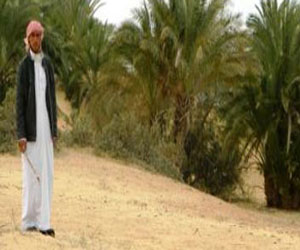   مصر اليوم - وزير الزراعة: مستعدون لصد أي هجوم من الجراد على مصر