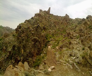   مصر اليوم - البشر تسبّبوا بانقراض 1300 نوع من الطيور في جزر المحيط الهادئ قبل آلاف السنوات