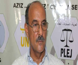   مصر اليوم - عبد عزيز انقض على سلطة منتخبة وأحذر من التدخل العسكر