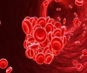   مصر اليوم - Veti-Gel مادة طبية جديدة تم إبتكارها لإيقاف النزيف