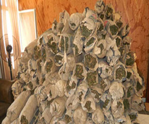   مصر اليوم - ضبط 3 أطنان بانجو في العين السخنة في السويس قبل تهريبها في القناة