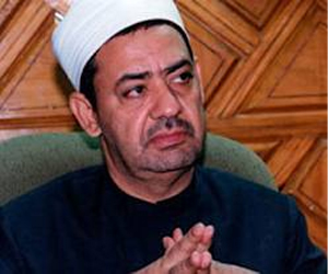   مصر اليوم - شيخ الأزهر يؤكد أن حماية أطفال الأمة الإسلامية مسؤولية مشتركة