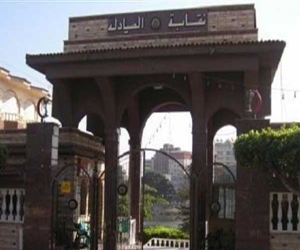   مصر اليوم - الصيادلة تعلن النتائج الرسمية لانتخابات التجديد النصفي