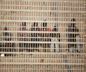   مصر اليوم - ضبط أسرة إريترية تسللت إلى البلاد بطريقة غير شرعية