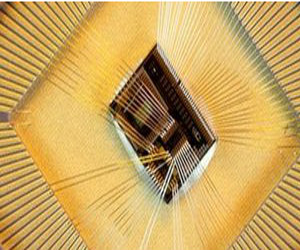   مصر اليوم - تجارب على شريحة إليكترونية لمحاربة السمنة