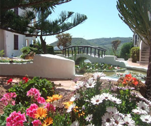   مصر اليوم - نصائح لتصميم حديقة المنزل الفورية