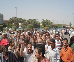 مصر اليوم - العشرات يغلقون هندسة كهرباء رأس غارب للمطالبة بالتعيين