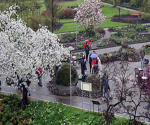   مصر اليوم - أوتريخت تحيي ذكرى توقيع معاهدة 1713