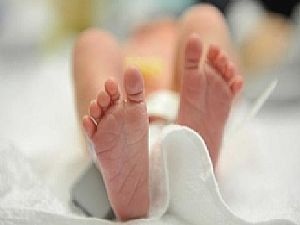   مصر اليوم - بريطانيا تقترب من الاعتراف بطفل الأنابيب من ثلاثة أفراد