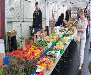   مصر اليوم - سيارة تقتحم متجرًا في كاليفورنيا وسائقها يهاجم المتسوقين