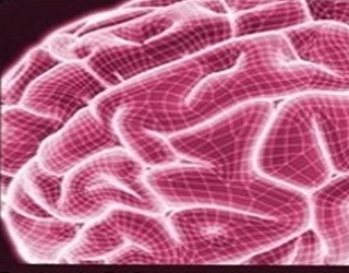   مصر اليوم - تحذيرات طبية من زيادة حالات السكتة الدماغية في السعودية