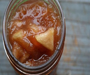   مصر اليوم - مربى الفتاح