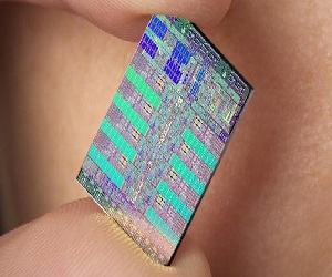   مصر اليوم - علماء يطورون شريحة إلكترونية لمحاربة السمنة