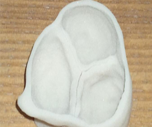   مصر اليوم - آلة طباعة ثلاثية الأبعاد لأنتاج صمامات قلب اصطناعية