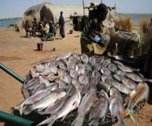   مصر اليوم - فابيوس في باماكو لطمأنتها بشأن التزام فرنسا مساعدتها