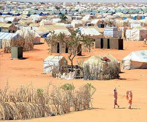 مصر اليوم - إجراءات لتسهيل تصويت اللاجئين الماليين في الانتخابات