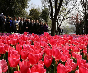   مصر اليوم - بدء مهرجان زهرة التوليب الـ 8 في إسطنبول
