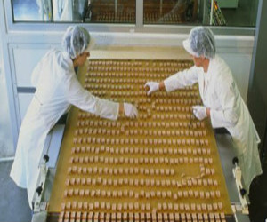   مصر اليوم - طريقة جديدة تخفض كمية الدهون في الشوكولاتة إلى النصف