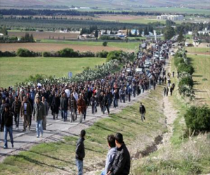   مصر اليوم - آلاف من مؤيدي كابريليس يشاركون في مسيرة بفنزويلا