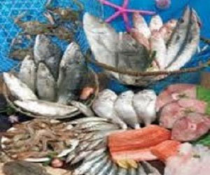   مصر اليوم - إغلاق مطعم لبيع الأسماك في ينبع لوجود فئران داخل الثلاجة