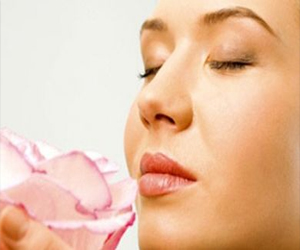   مصر اليوم - الأجهزة الحيوية في الجسم تمتلك مستقبلات لحاسة الشم