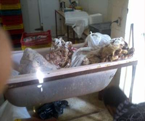   مصر اليوم - ضبط مصنع في الإسماعيلية يستخدم طيوراً فاسدة