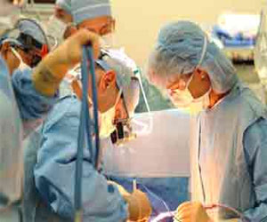   مصر اليوم - علماء أميركيون ينجحون في استنباط مبيض صناعي يفرز الهرمونات