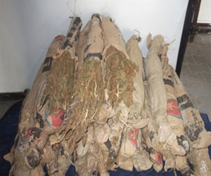   مصر اليوم - القبض على عاطل في حوزته 28 لفافة بانجو في الدقهلية