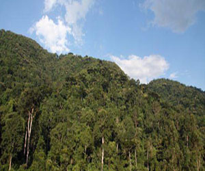   مصر اليوم - مسابقة أسترالية عن أفضل وظائف في العالم