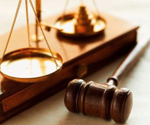   مصر اليوم - القنصلية المصرية في ميلانو تعيد 5 أطفال إلى جدتهم في مصر