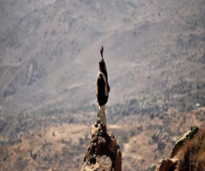   مصر اليوم - السعودية تلاحق المتسللين وتبني جدارًا أمنيًا على الحدود مع اليمن