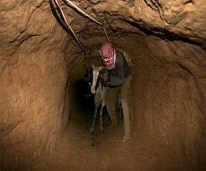   مصر اليوم - حرس الحدود المصري يدمِّر نفقاً بين رفح وغزة