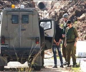   مصر اليوم - الاحتلال يعتقل 3 فلسطينيين من قرية جلقموس شرق جنين