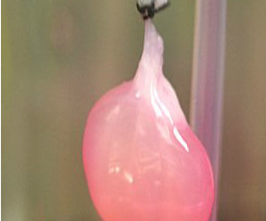   مصر اليوم - علماء يصنعون كلية في المختبر