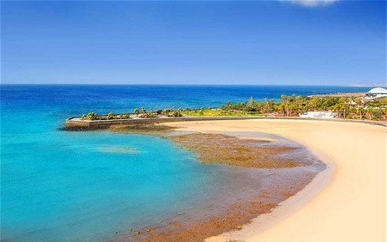 مصر اليوم - جزر الكناري وجهة الساعين إلى دفئ الربيع