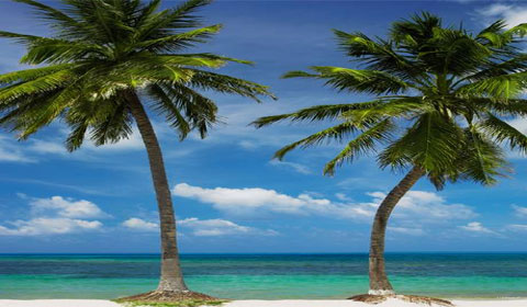 مصر اليوم - جزيرة بروفيدنسيا تجسد جمال الطبيعة البكر