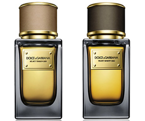   مصر اليوم - عطور دولتشي آند غابانا الشرق أوسطية