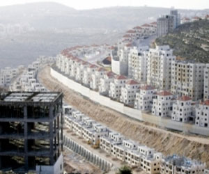   مصر اليوم - التفكجي: حكومة الاحتلال ماضية في نهجها الاستيطاني