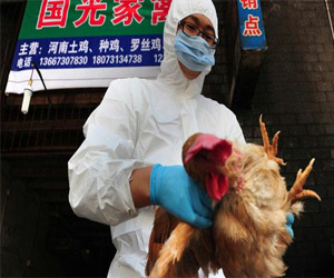   مصر اليوم - إصابة خفية لطفل بـH7N9 تثير قلقًا في الصين
