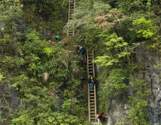 مصر اليوم - تلاميذ الصين يتسلقون جبالاً مرعبة عبر سلالم