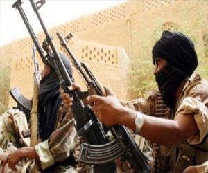   مصر اليوم - سفير أيرلندا في أبوجا: القوة وحدها تهزم بوكو حرام 