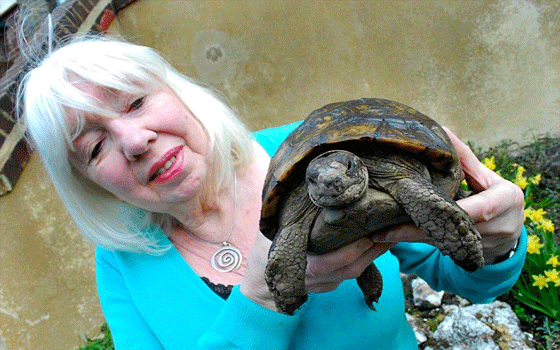 مصر اليوم - السلحفاة أدولف تنجو من الموت بعد تجمدها بين الثلوج