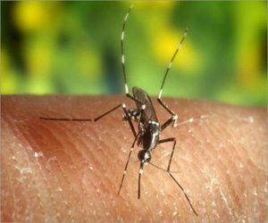   مصر اليوم - الملاريا تهدد سكان شرق المتوسط