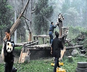 مصر اليوم - باندا الصين تحتاج لعلاج نفسي بعد صدمة الزلزال