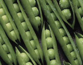 مصر اليوم - فول الصويا يُحافظ على نضارة بشرة المرأة